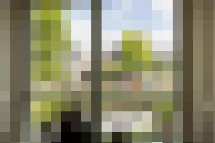 Lytsedyk 26 Menaam thumbnail 24