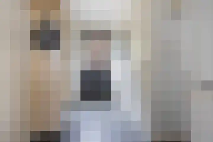 Lytsedyk 26 Menaam thumbnail 28