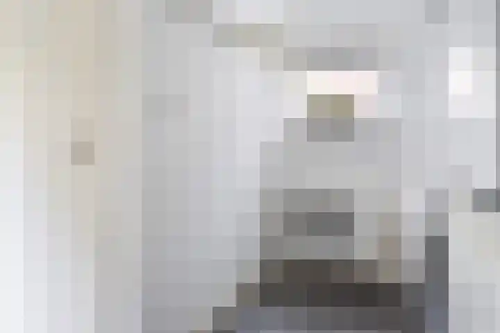 Lytsedyk 26 Menaam thumbnail 30