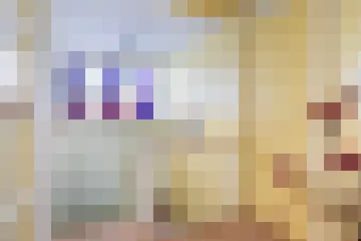 Lytsedyk 26 Menaam thumbnail 34