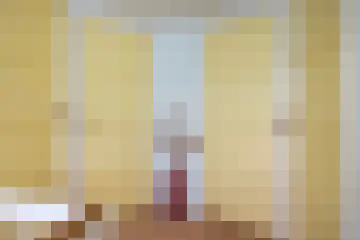 Lytsedyk 26 Menaam thumbnail 36