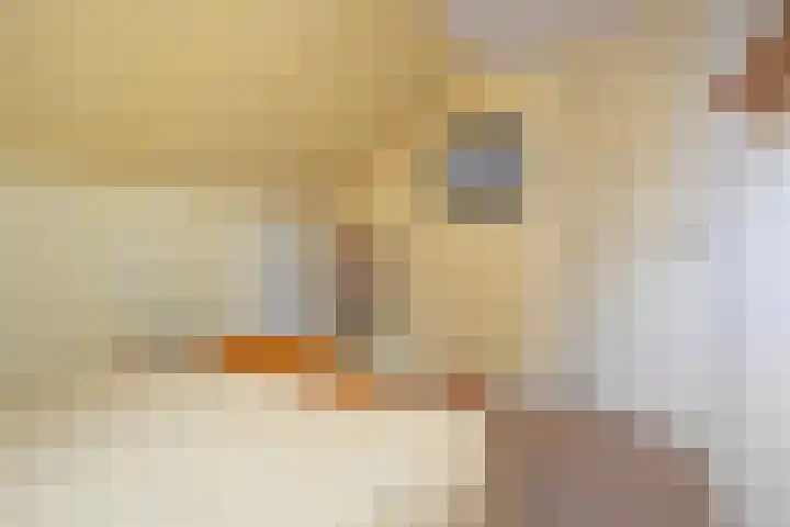 Lytsedyk 26 Menaam thumbnail 42