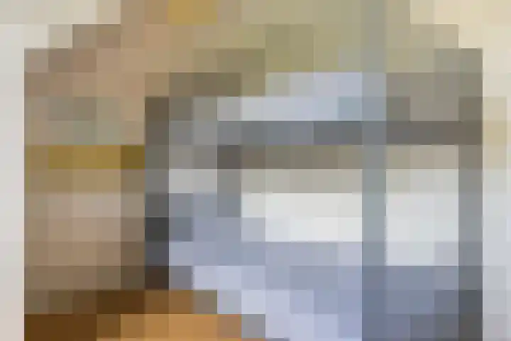 Lytsedyk 26 Menaam thumbnail 43