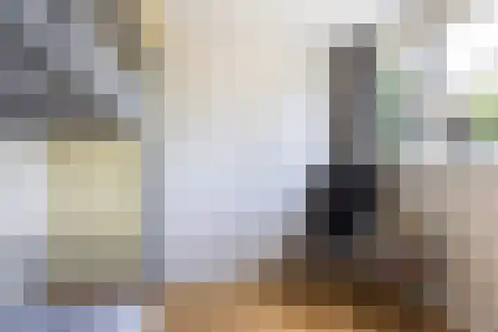 Lytsedyk 26 Menaam thumbnail 44