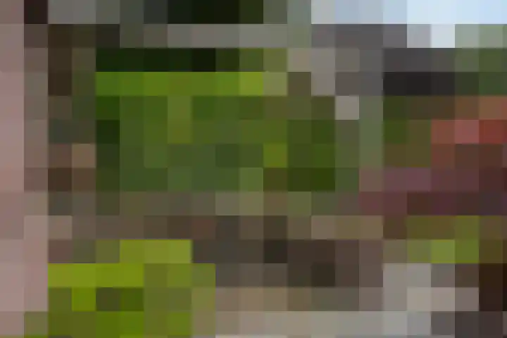 Lytsedyk 26 Menaam thumbnail 48