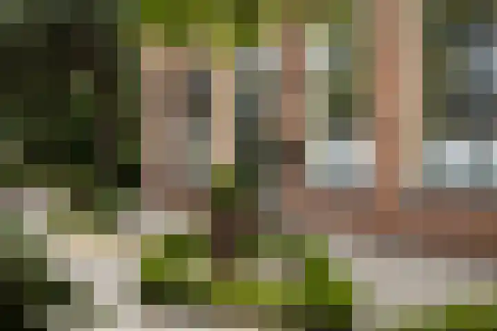 Lytsedyk 26 Menaam thumbnail 5