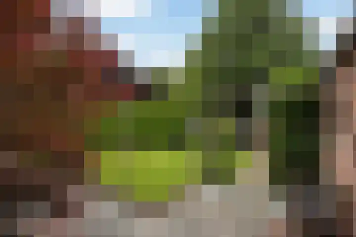 Lytsedyk 26 Menaam thumbnail 51