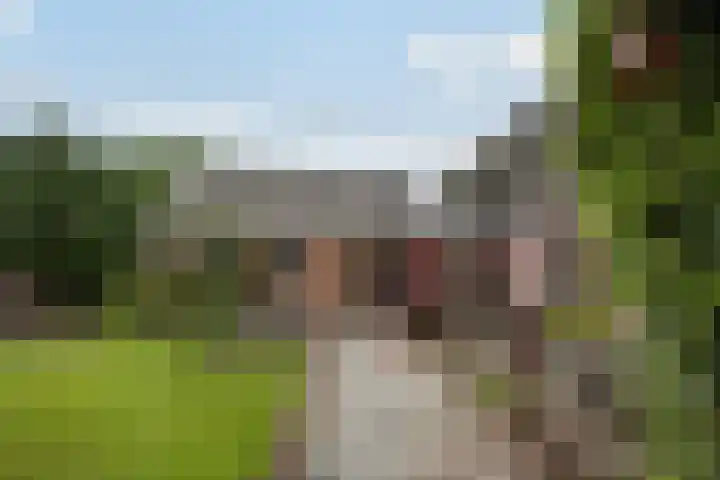 Lytsedyk 26 Menaam thumbnail 52