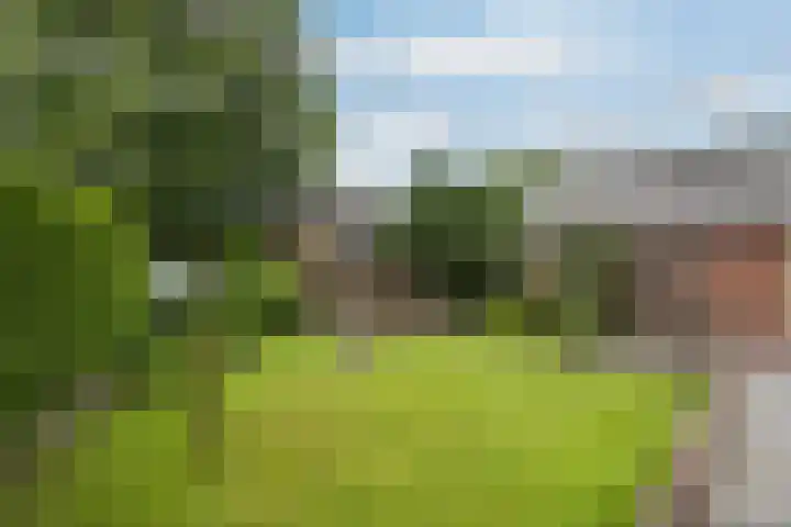Lytsedyk 26 Menaam thumbnail 53