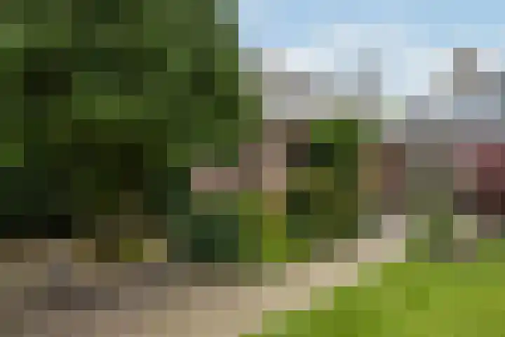 Lytsedyk 26 Menaam thumbnail 54