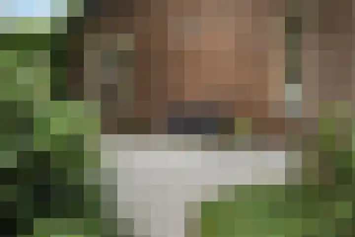 Lytsedyk 26 Menaam thumbnail 58