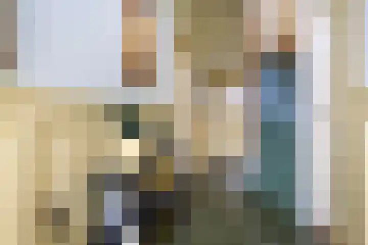 Lytsedyk 26 Menaam thumbnail 6