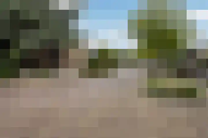 Lytsedyk 26 Menaam thumbnail 61