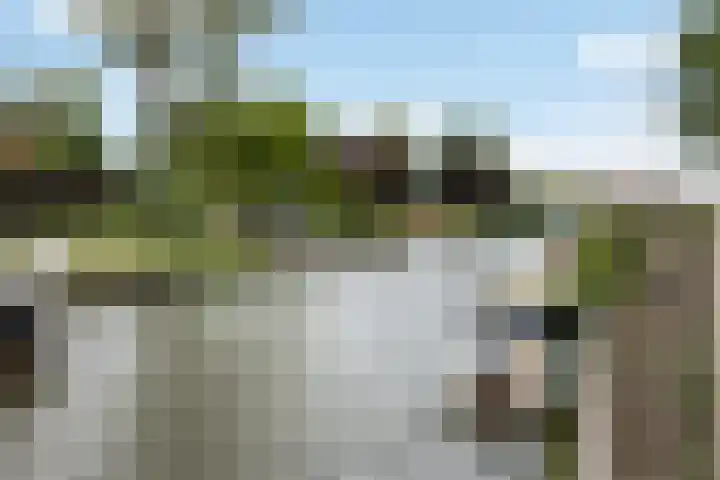 Lytsedyk 26 Menaam thumbnail 63