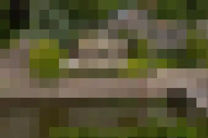Lytsedyk 26 Menaam thumbnail 64