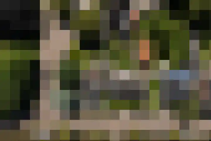 Lytsedyk 26 Menaam thumbnail 67