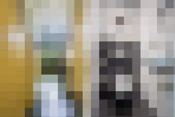 Lytsedyk 26 Menaam thumbnail 9