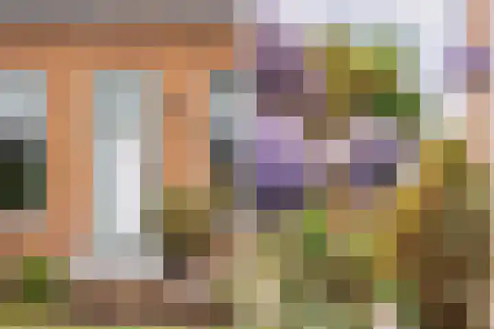 Lytsedyk 49 Bitgummole thumbnail 11