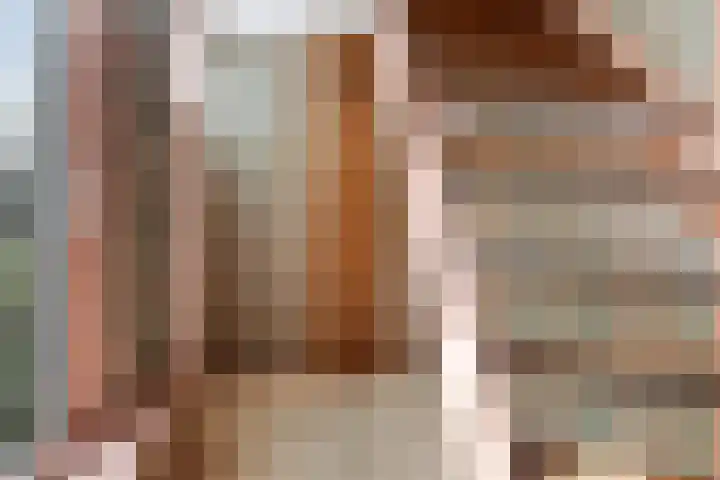 Lytsedyk 49 Bitgummole thumbnail 13