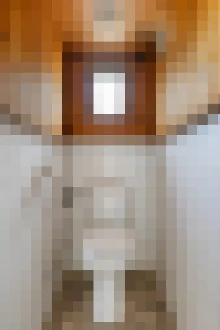 Lytsedyk 49 Bitgummole thumbnail 14