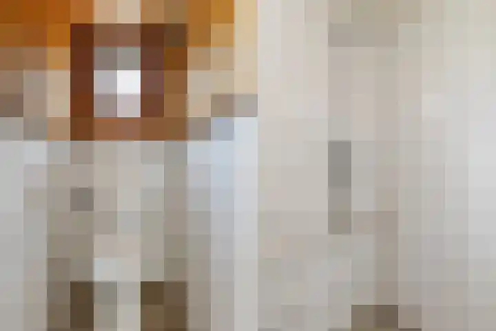 Lytsedyk 49 Bitgummole thumbnail 15