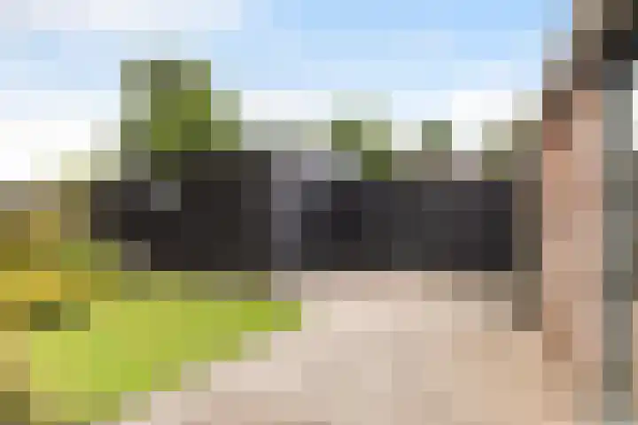 Lytsedyk 49 Bitgummole thumbnail 26