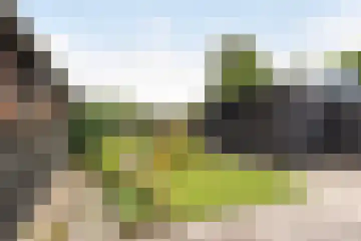 Lytsedyk 49 Bitgummole thumbnail 27