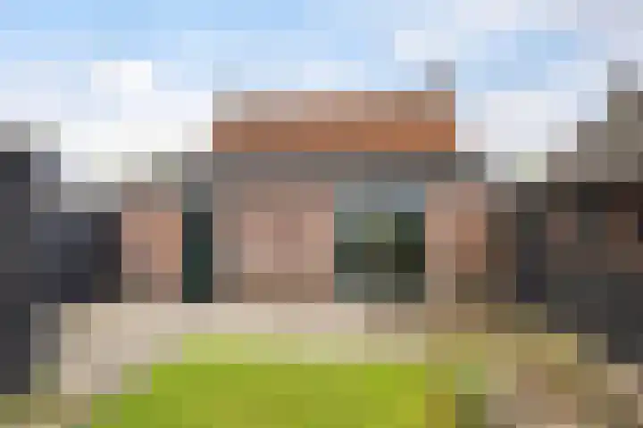 Lytsedyk 49 Bitgummole thumbnail 29