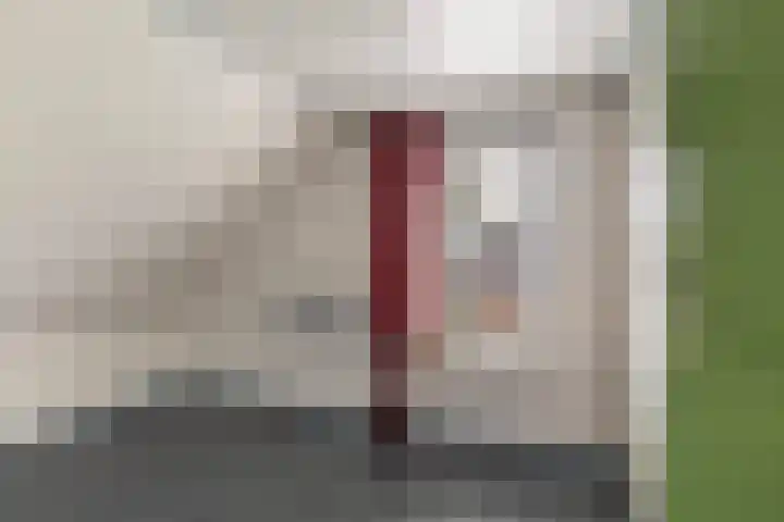 Lytsedyk 49 Bitgummole thumbnail 33