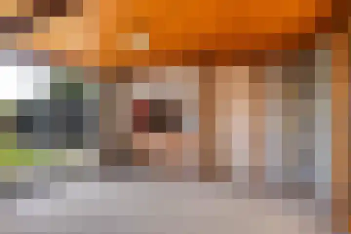 Lytsedyk 49 Bitgummole thumbnail 4