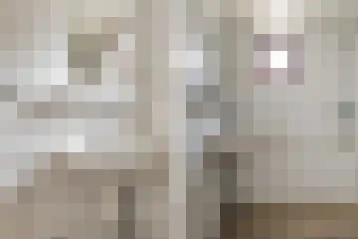 Lytsedyk 49 Bitgummole thumbnail 41