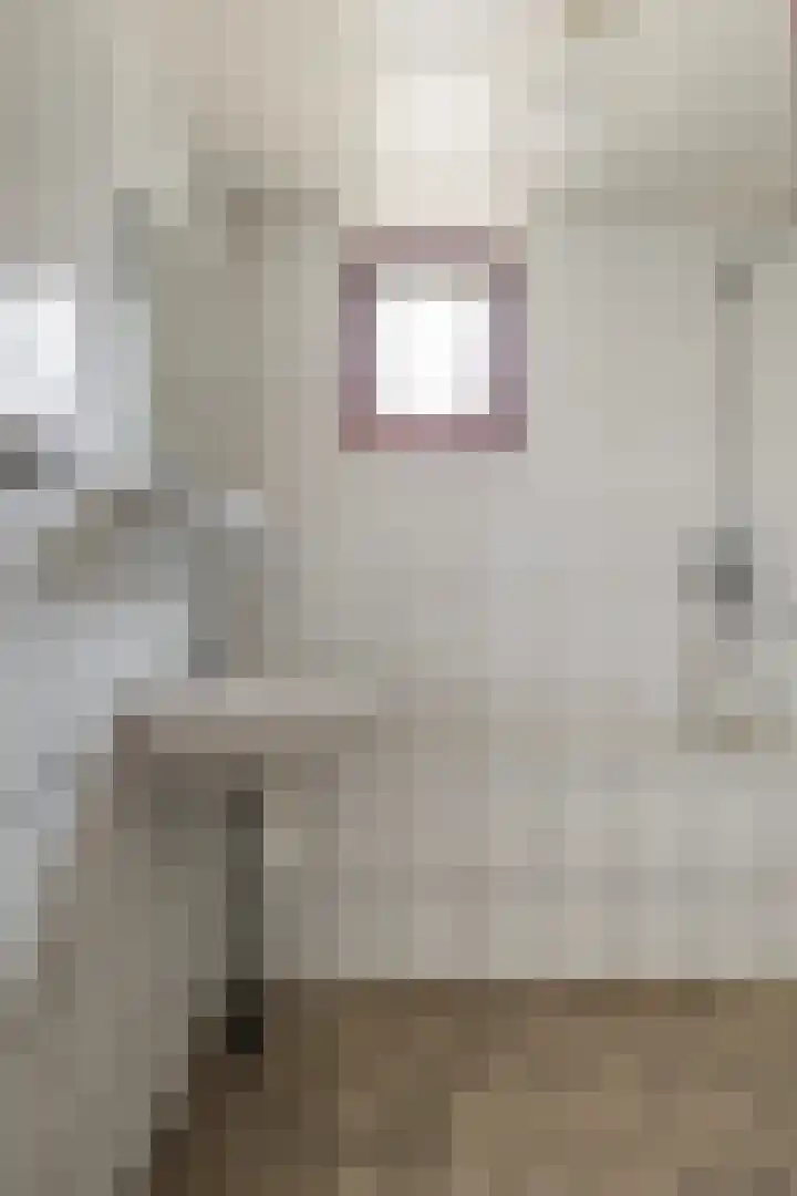 Lytsedyk 49 Bitgummole thumbnail 42