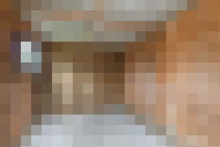 Lytsedyk 49 Bitgummole thumbnail 46