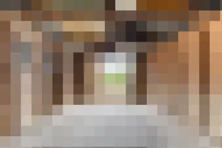 Lytsedyk 49 Bitgummole thumbnail 47