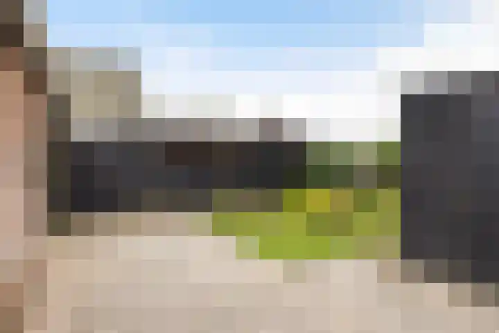 Lytsedyk 49 Bitgummole thumbnail 5
