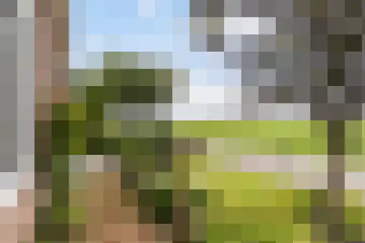 Lytsedyk 49 Bitgummole thumbnail 50