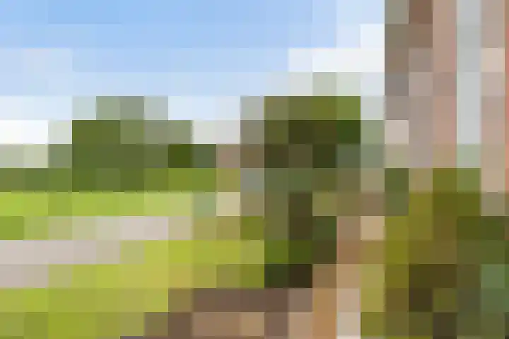 Lytsedyk 49 Bitgummole thumbnail 51