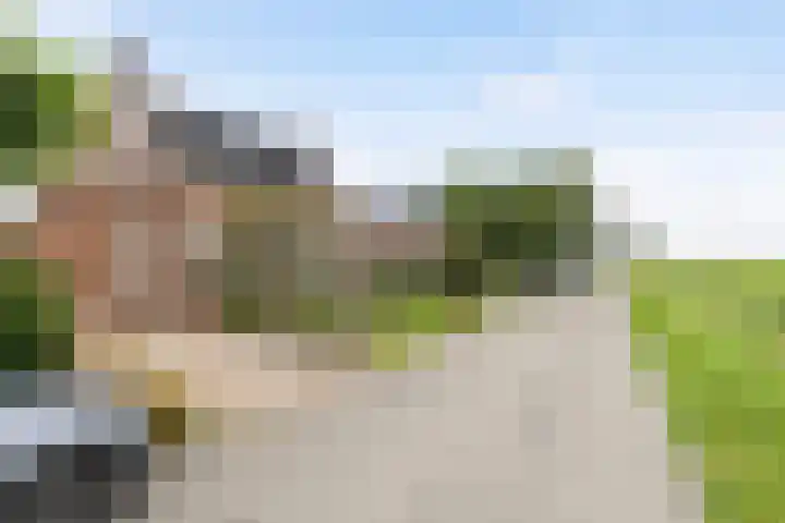Lytsedyk 49 Bitgummole thumbnail 8