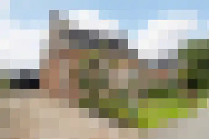 Lytsedyk 49 Bitgummole thumbnail 9