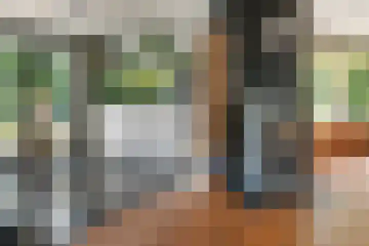 Lytsegeast 28 Tytsjerk thumbnail 11