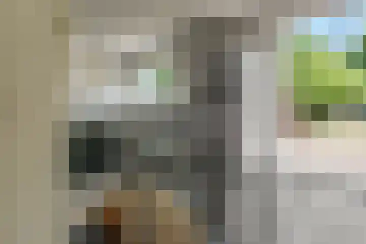 Lytsegeast 28 Tytsjerk thumbnail 12