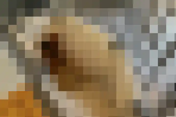 Lytsegeast 28 Tytsjerk thumbnail 13