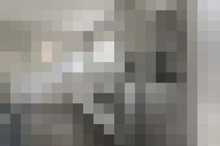 Lytsegeast 28 Tytsjerk thumbnail 15