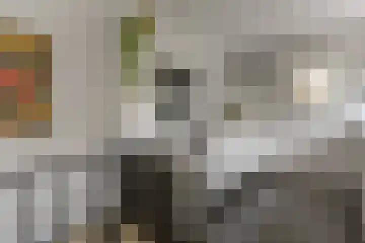 Lytsegeast 28 Tytsjerk thumbnail 16