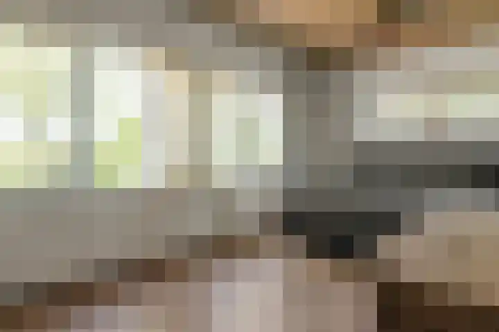Lytsegeast 28 Tytsjerk thumbnail 20
