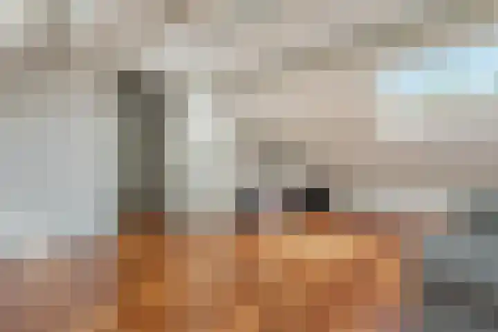 Lytsegeast 28 Tytsjerk thumbnail 34