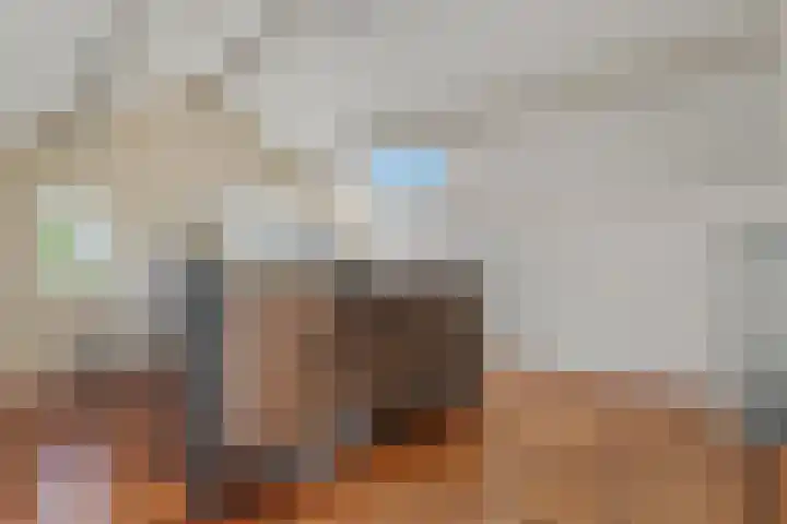 Lytsegeast 28 Tytsjerk thumbnail 36