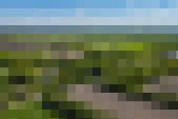 Lytsegeast 28 Tytsjerk thumbnail 4
