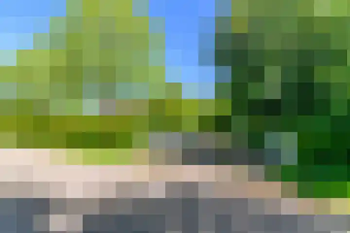 Lytsegeast 28 Tytsjerk thumbnail 40