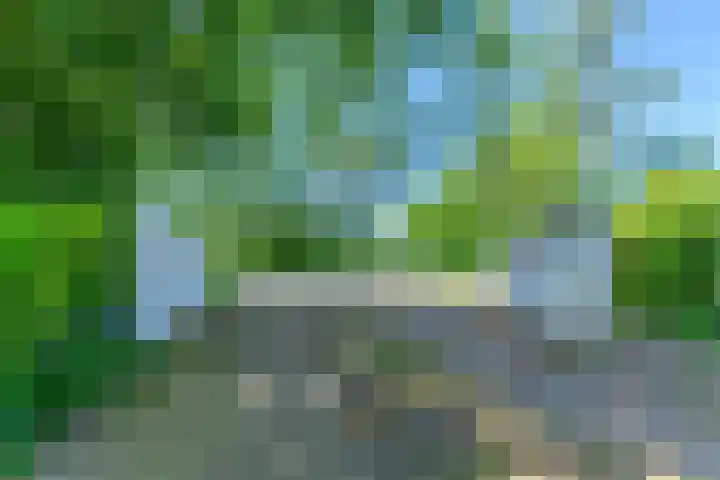 Lytsegeast 28 Tytsjerk thumbnail 41